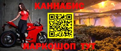 гашик Новоалександровск