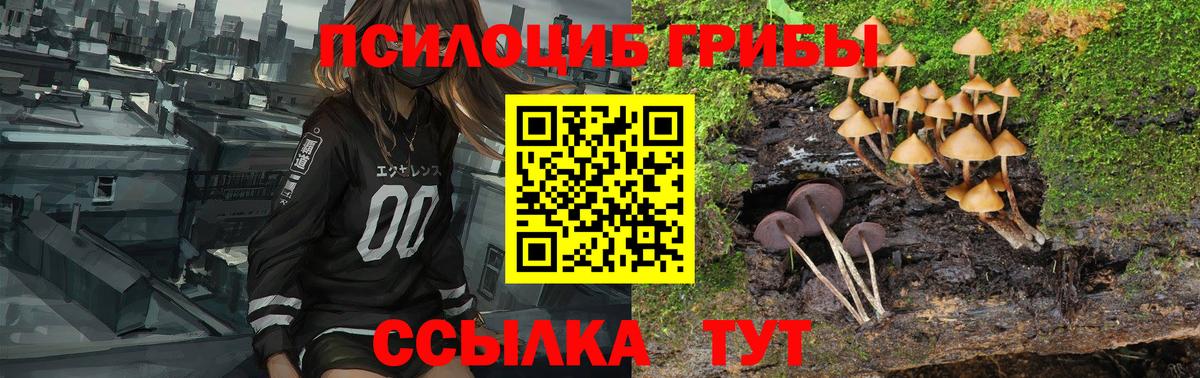 Кондопога  Гашиш  Мефедрон   COCAIN  Вход с VPN  Марихуана  Гашиш 
