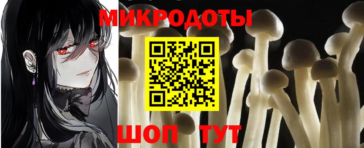 Псилоцибиновые грибы GOLDEN TEACHER  Кондопога 