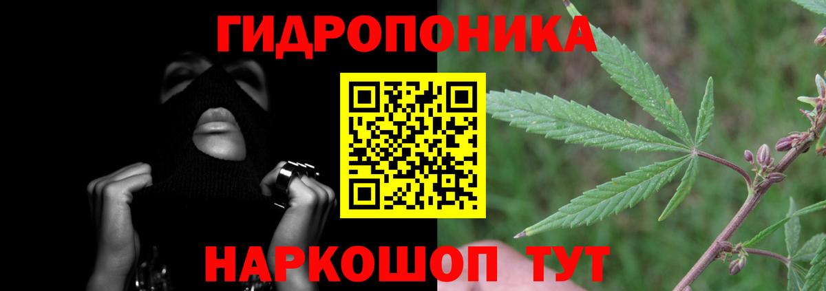 Марихуана сатива  Вход с VPN  Конопля MAZAR  Марихуана Amnesia  Конопля White Widow  Кондопога 